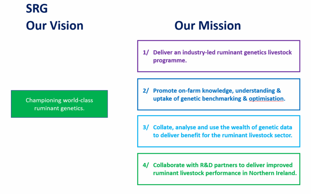 Graphic depicting the Vision and Mission of SRG NI