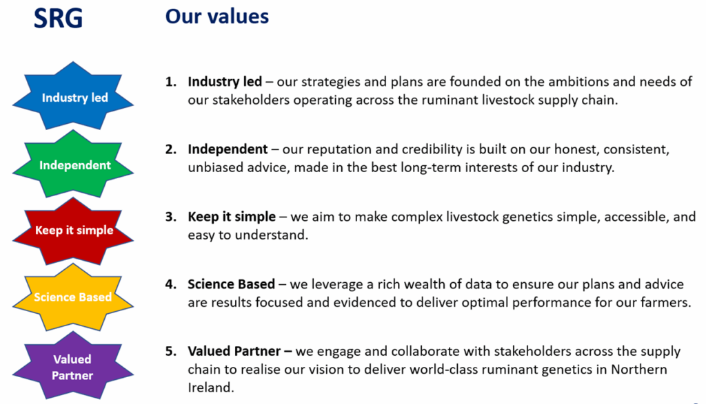 Graphic describing the 5 core values of SRG NI