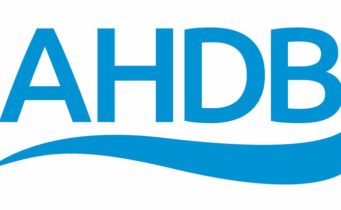 AHDB logo