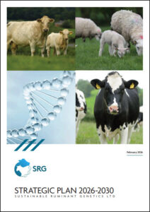 SRG Strategic Plan 2026 to 2030 Cover Page