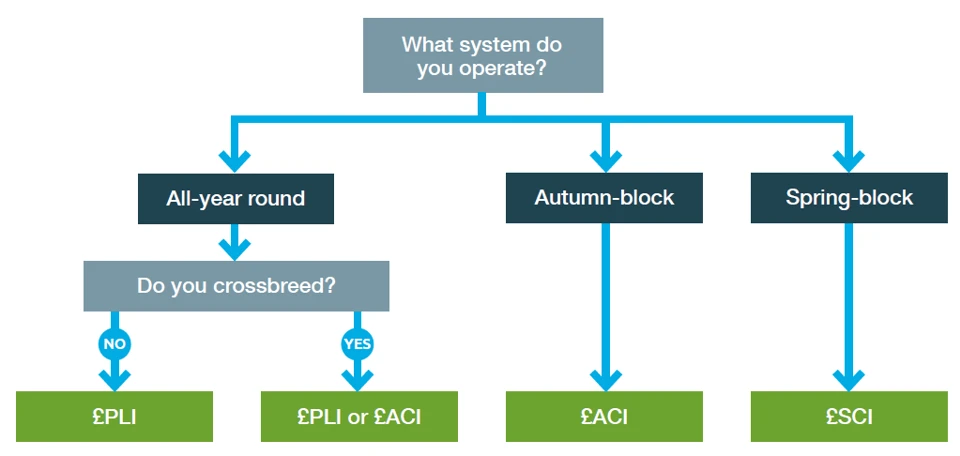 Infographic flowchart showing which profit index to choose