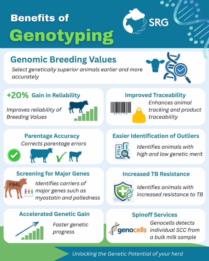 Infographic on the benefits of genotyping