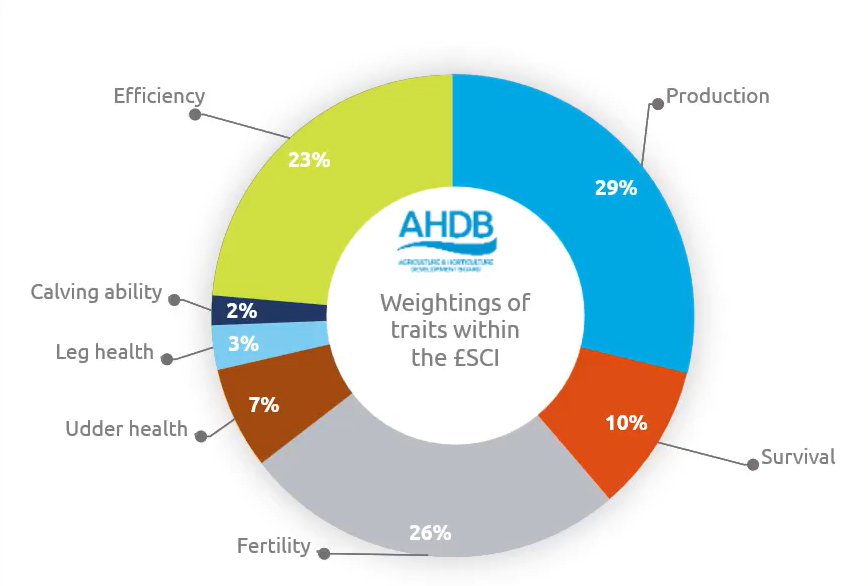 Read more about the article AHDB Update the Spring Calving Index (SCI)