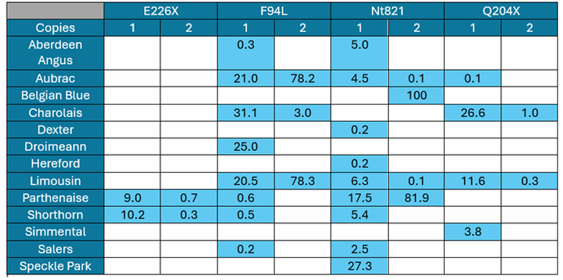 Graph showing percentage of animals carrying the myostatin gene by breed