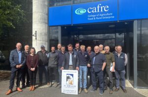 Bovine Genetics Project Training Supports Genetic Progress in NI Herds