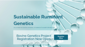 Registration Now Open for the Bovine Genetics Project and Genotyping Scheme