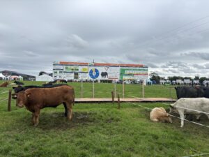 SRG Attends Teagasc BEEF2026 Open Day