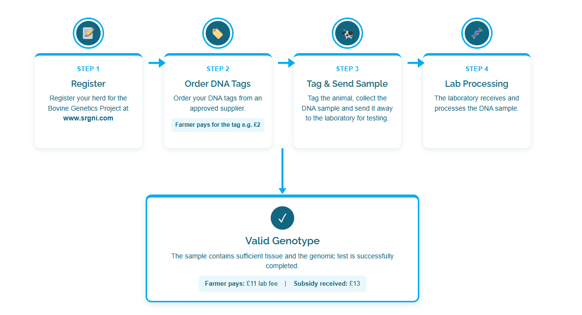 You are currently viewing Genotyping Scheme launches the 1st of September – are you ready?