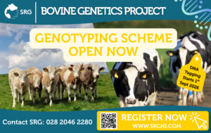 SRG Launches Genotyping Scheme for NI Farmers 